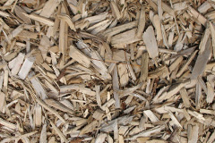biomass boilers Dungate